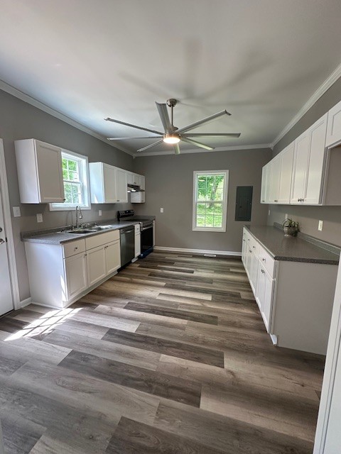 kitchen featuring dark hardwood / wood-style floors, sink, ceiling fan, and white cabinetry