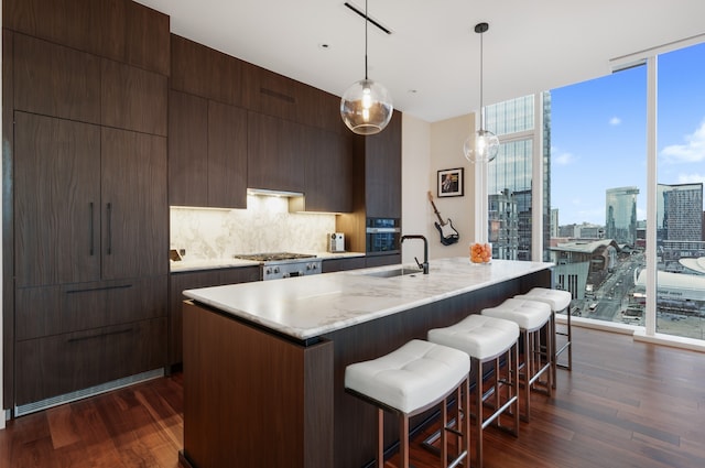 kitchen with floor to ceiling windows, backsplash, a center island with sink, sink, and dark hardwood / wood-style flooring