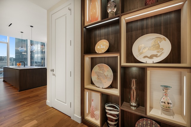 room details featuring dark wood-type flooring and vanity