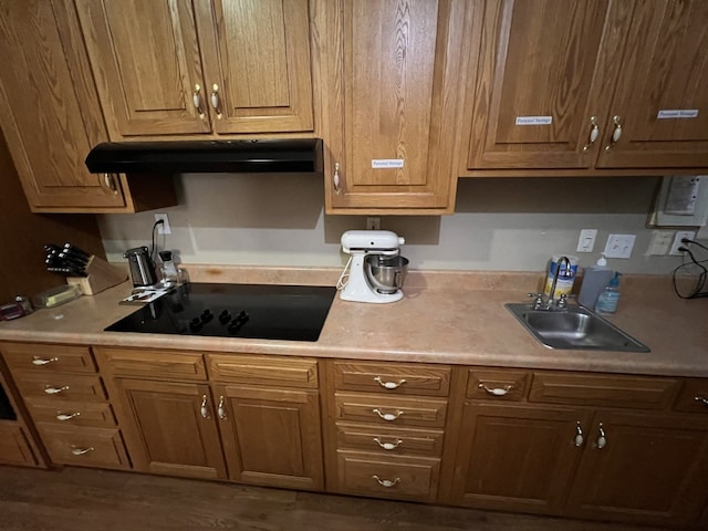 kitchen with black electric stovetop, sink, ventilation hood, and hardwood / wood-style flooring