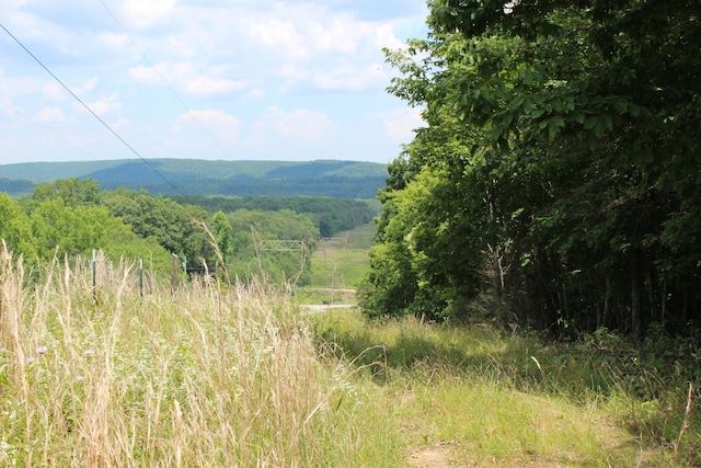 view of mountain feature