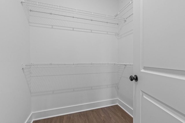 walk in closet featuring dark wood finished floors