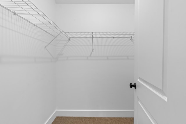 walk in closet featuring carpet floors