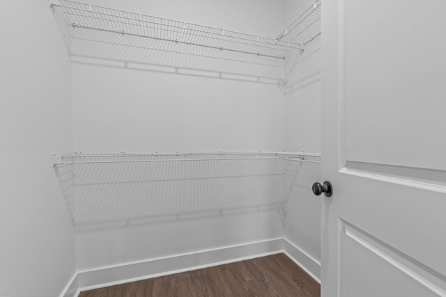 spacious closet with dark wood-style flooring