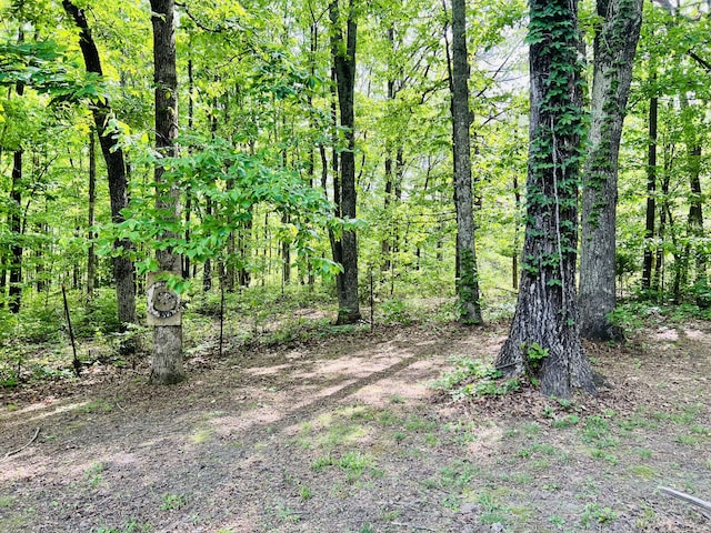 view of local wilderness