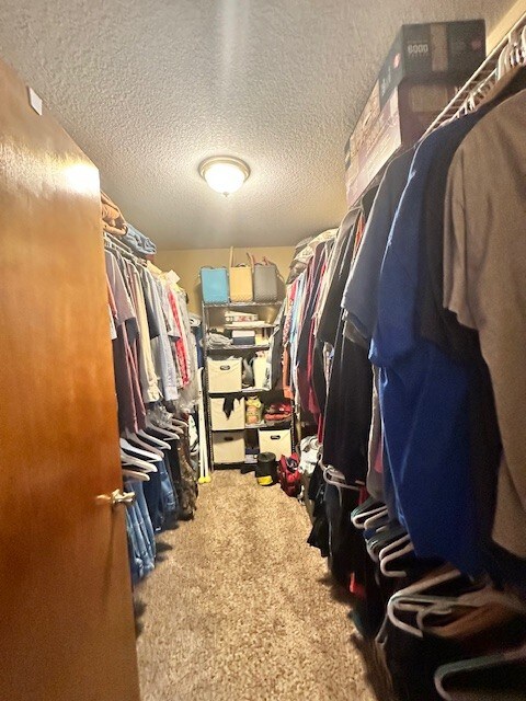 spacious closet featuring carpet