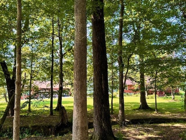 view of community featuring a lawn