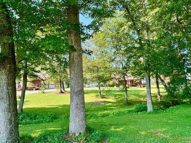 view of home's community featuring a lawn