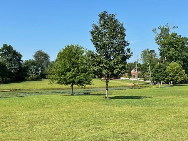 view of property's community with a yard