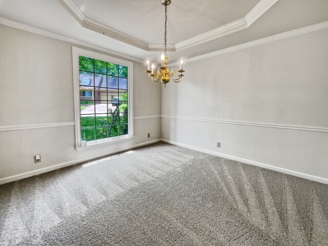 spare room with carpet flooring, a wealth of natural light, and a tray ceiling