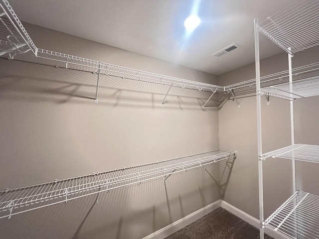 walk in closet featuring carpet floors