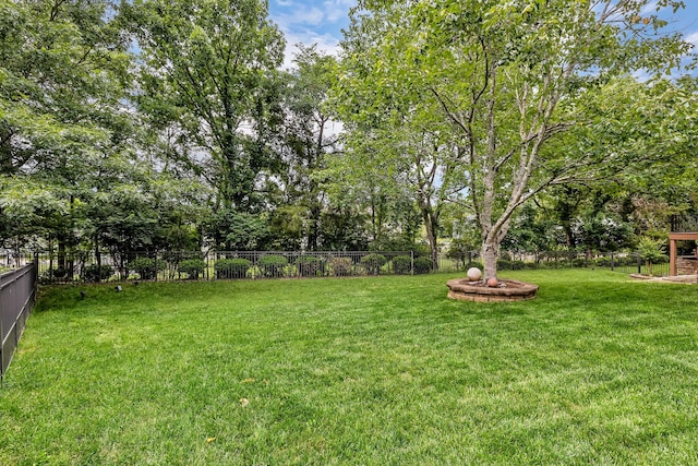 808 Seven Points Cv, Hermitage, TN 37076 - view of yard
