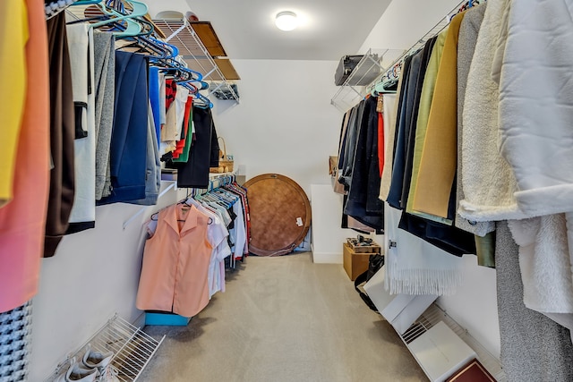808 Seven Points Cv, Hermitage, TN 37076 - walk in closet with carpet flooring