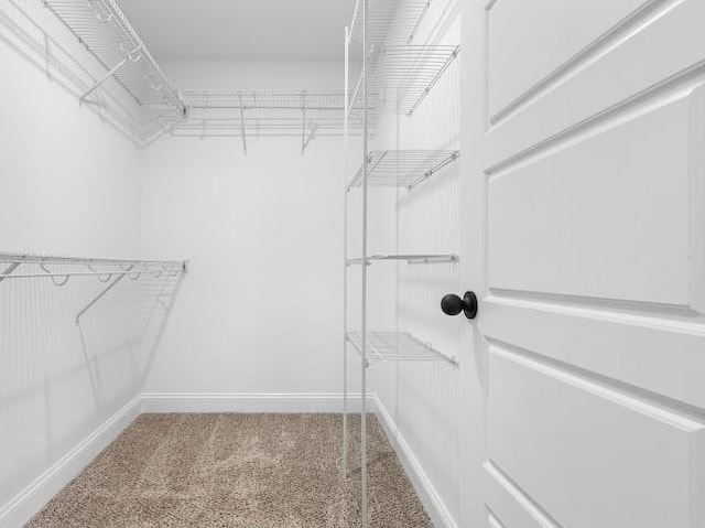 spacious closet featuring carpet flooring