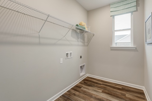 washroom with dark hardwood / wood-style flooring, plenty of natural light, electric dryer hookup, and hookup for a washing machine