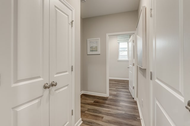 hallway with dark hardwood / wood-style flooring