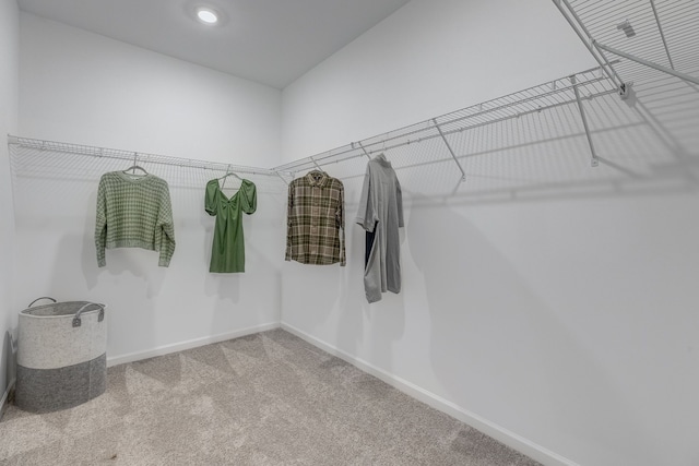 walk in closet with carpet floors