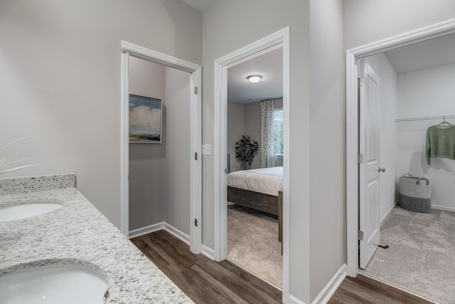 bathroom featuring wood-type flooring and vanity