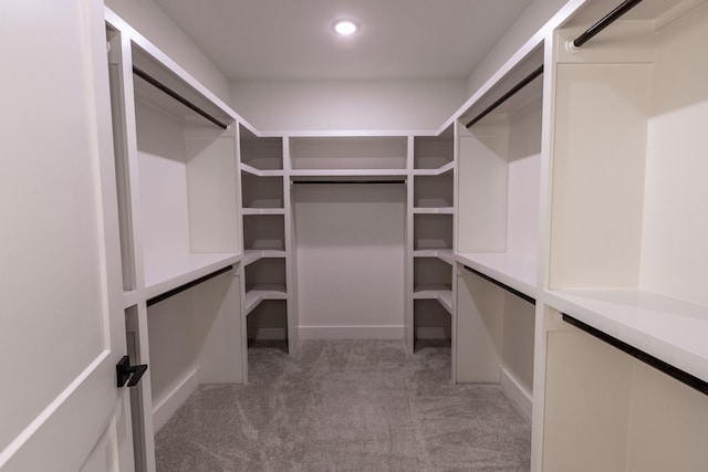 spacious closet featuring carpet floors