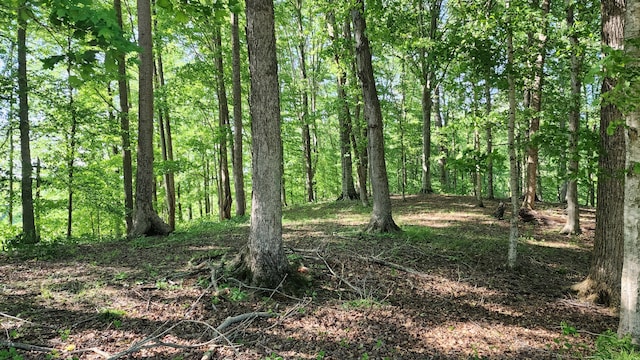 1 Potts Camp Rd, Smithville TN, 37166 land for sale