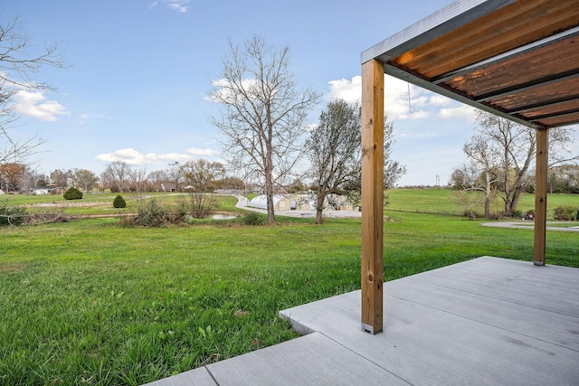 view of yard featuring a patio area