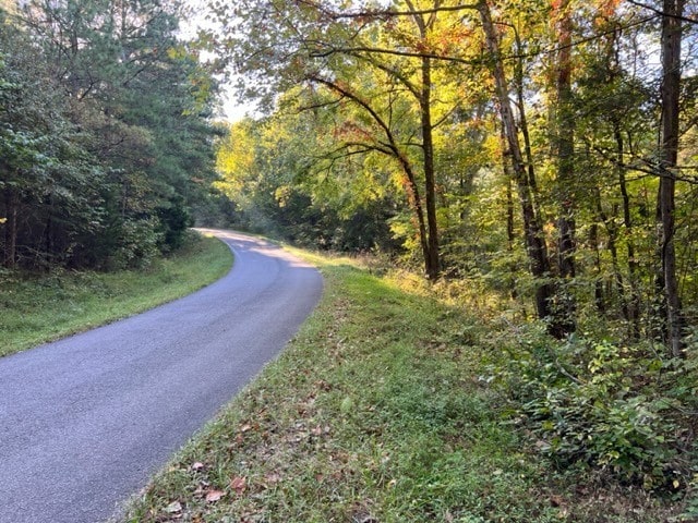 0 Sulpher Creek Rd, Centerville TN, 37033 land for sale