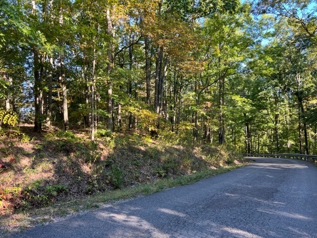 Listing photo 2 for 0 Sulpher Creek Rd, Centerville TN 37033