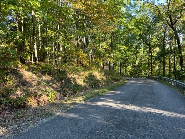 Listing photo 3 for 0 Sulpher Creek Rd, Centerville TN 37033