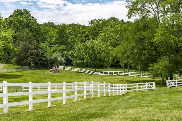 view of yard featuring a rural view