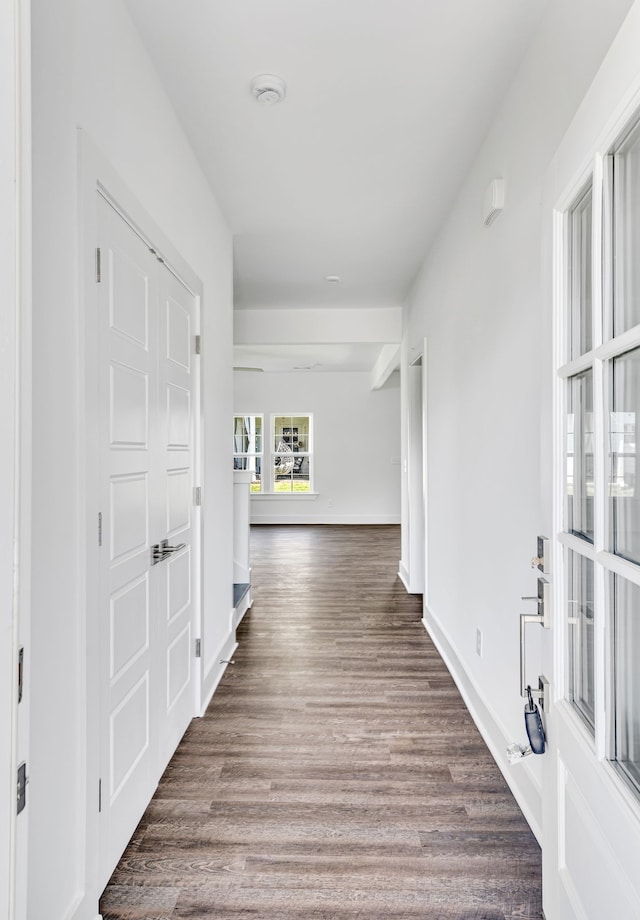 hallway with dark wood-type flooring