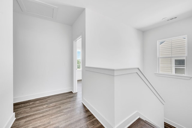 corridor with dark hardwood / wood-style floors