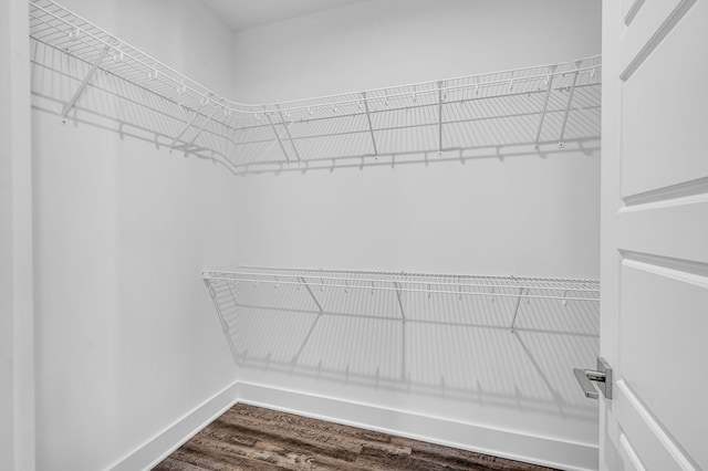 spacious closet featuring wood-type flooring