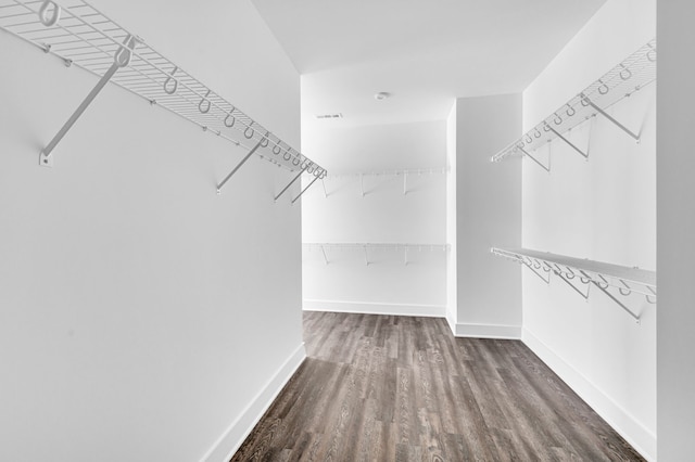 spacious closet featuring dark hardwood / wood-style floors