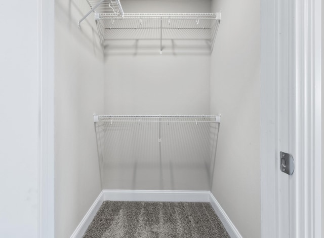 walk in closet featuring carpet