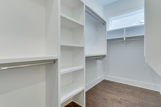 walk in closet featuring dark hardwood / wood-style flooring