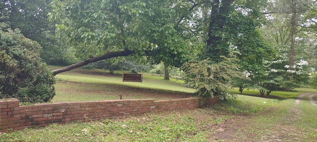 view of home's community featuring a yard