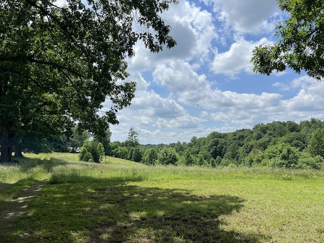 view of local wilderness featuring a view of trees