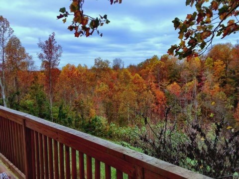 balcony with a forest view