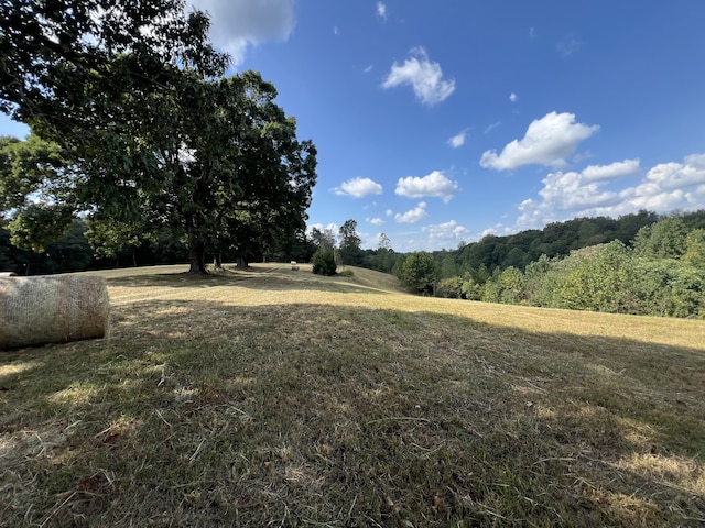 view of yard with a forest view