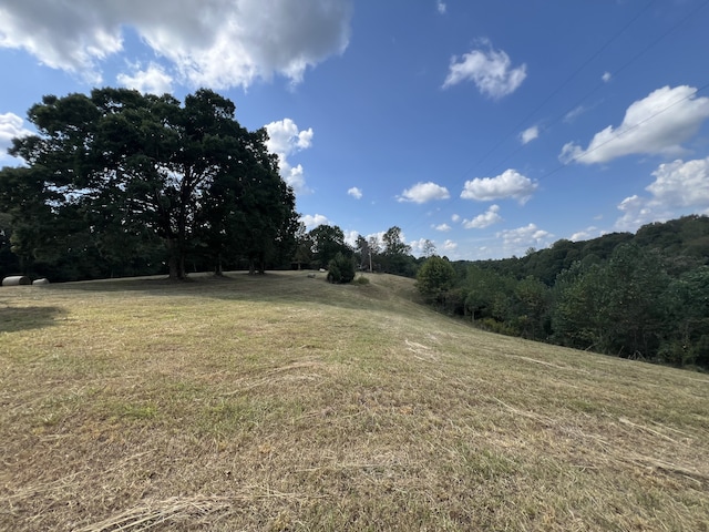 view of yard featuring a view of trees