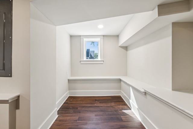 basement with dark hardwood / wood-style floors