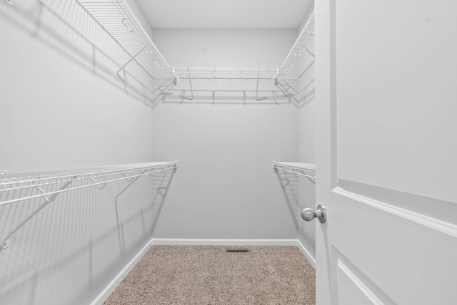 walk in closet with carpet