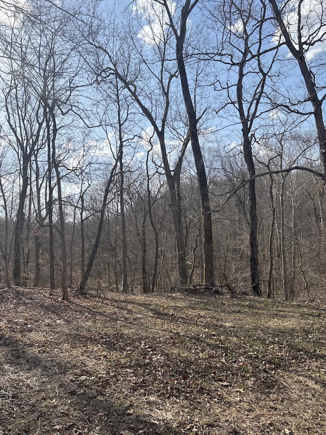 view of nature with a wooded view