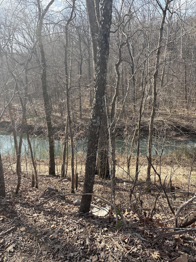 property view of water with a forest view