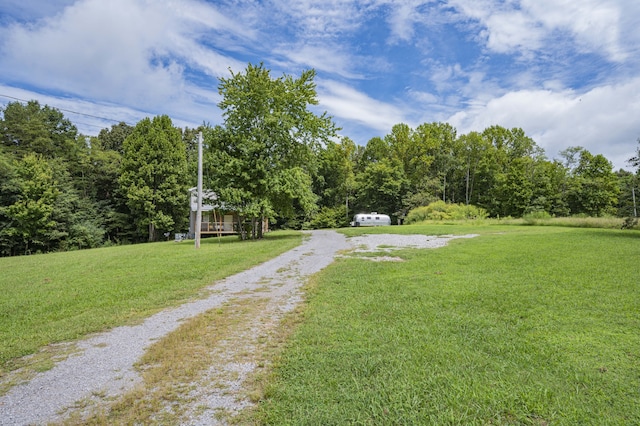 view of yard with driveway