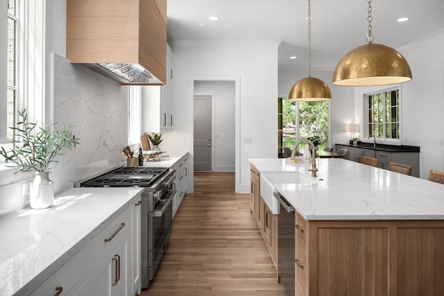 kitchen with light hardwood / wood-style flooring, stainless steel appliances, an island with sink, ornamental molding, and premium range hood