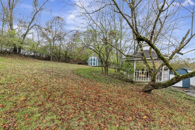 view of yard with a storage unit