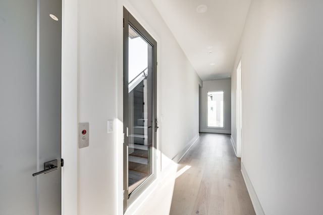 corridor with a healthy amount of sunlight and light hardwood / wood-style floors