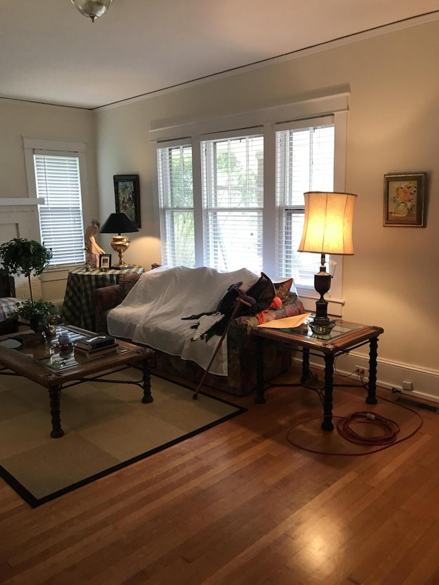 living room featuring hardwood / wood-style floors