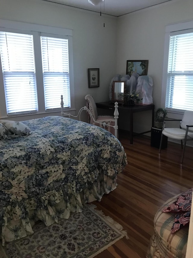 bedroom with multiple windows and hardwood / wood-style floors